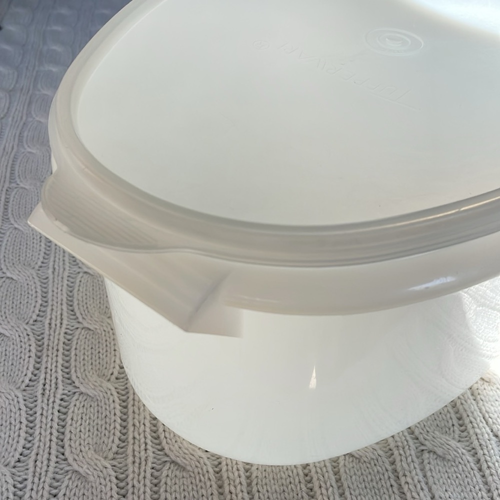 Vtg Tupperware Roast Flavor Saver Storage Keeper HamTurkey oval with lid